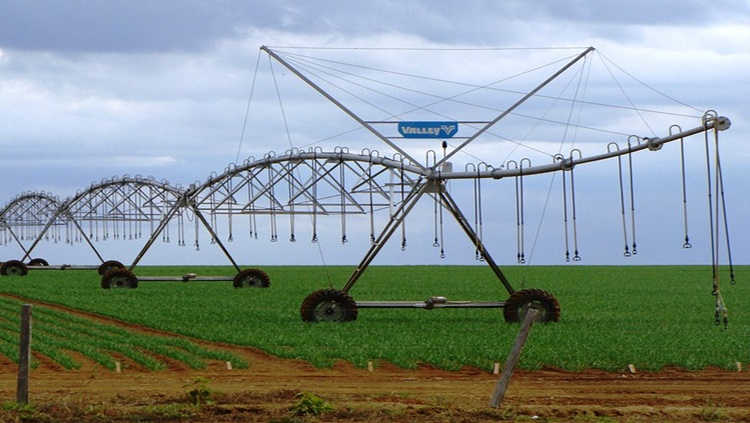 TECNOLOGIA: Ferramenta ajudará a expandir o setor de agricultura irrigada 