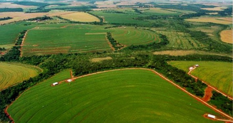 2020: Contribuintes já podem enviar declaração de imposto territorial rural 