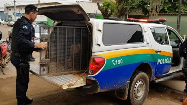 TARADO: Homem é preso após tentar estuprar garoto de 13 anos na zona Leste