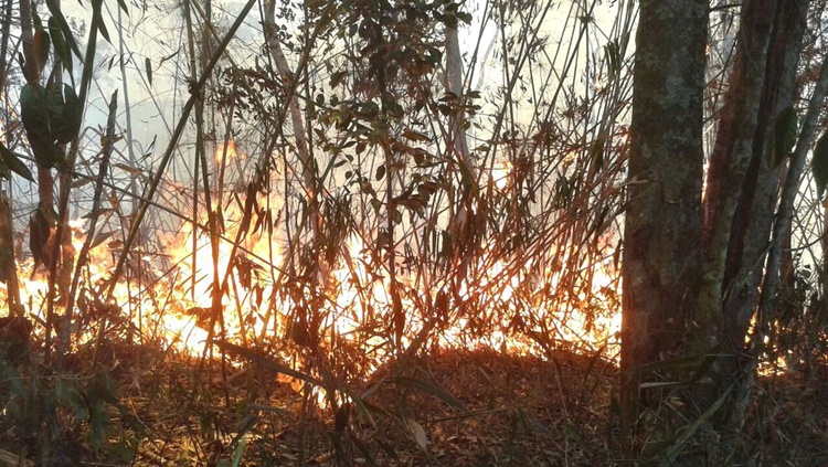 FOGO: Incêndio atinge área do Parque Nacional da Serra dos Órgãos