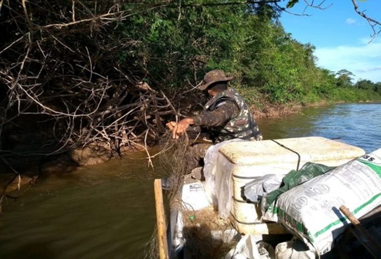 IARA: Operação combate à pesca predatória na região de Cacoal e Pimenta Bueno