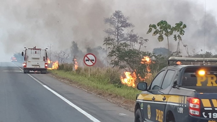 CRIME AMBIENTAL: Homem é preso por colocar fogo em mata nas margens da BR-364