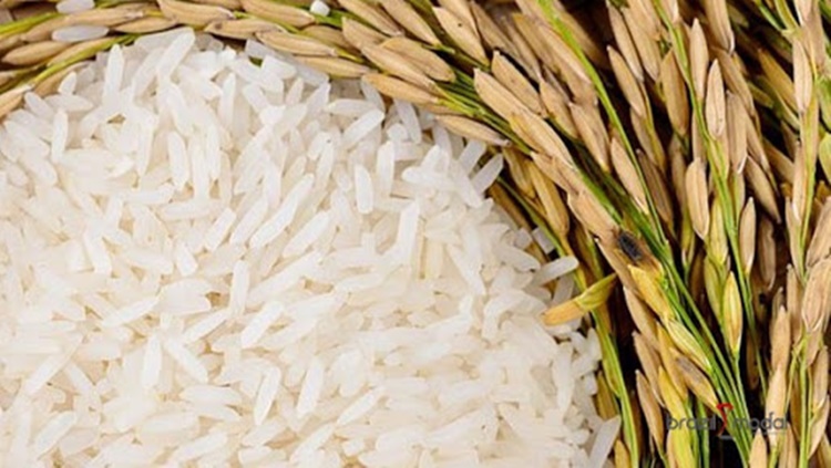 RONDÔNIA: Produção de arroz alcança 139 mil toneladas na safra 2019/20