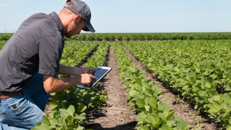 AGROLAB: Artesãos de Rondônia participam do maior evento virtual da Amazônia