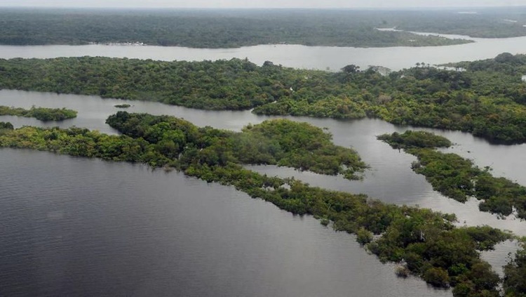 MEIO AMBIENTE: Bancos de desenvolvimento podem acelerar a recuperação econômica verde