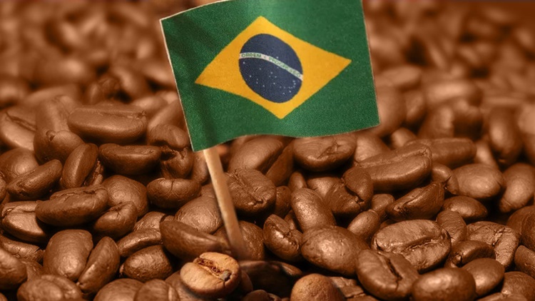 CRESCIMENTO: Brasil exporta 40 milhões de sacas de café no ano-safra 2019/20