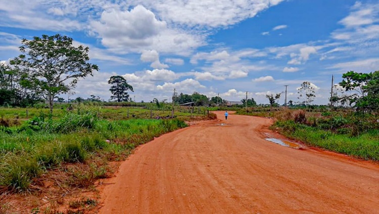 'CURVA DO JACARÉ': Plano é elaborado para asfaltar trecho entre Alvorada d’Oeste e Urupá na RO-473