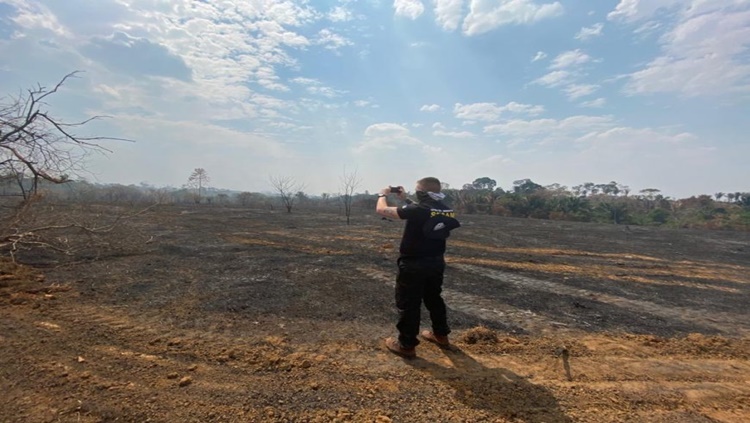 DIA DO AGENTE: Agente Ambiental é essencial para o desenvolvimento da fauna e flora 