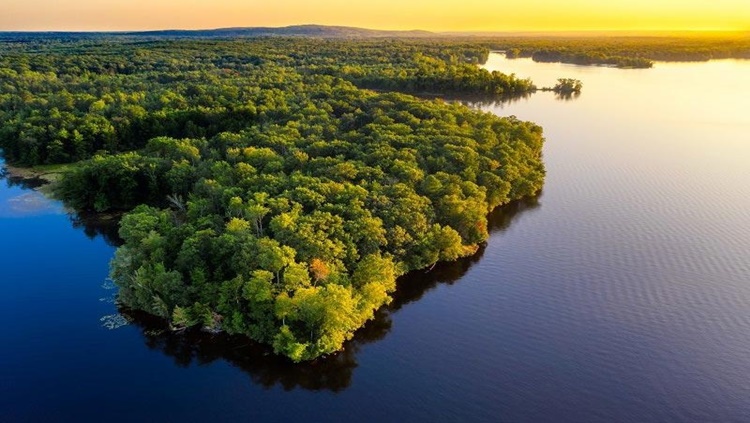 PRESERVAÇÃO: Governo lança programa de captação de recursos para a Amazônia