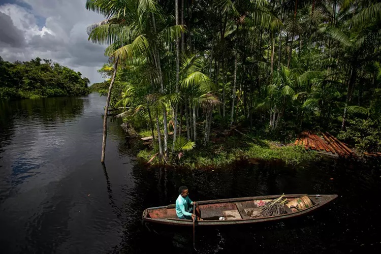 PRESERVAÇÃO: Governo pede crédito de R$ 410 milhões para Forças Armadas na Amazônia