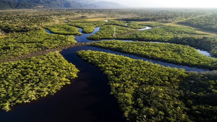 AÇÕES: Bolsonaro pede apoio e defende desenvolvimento da Amazônia