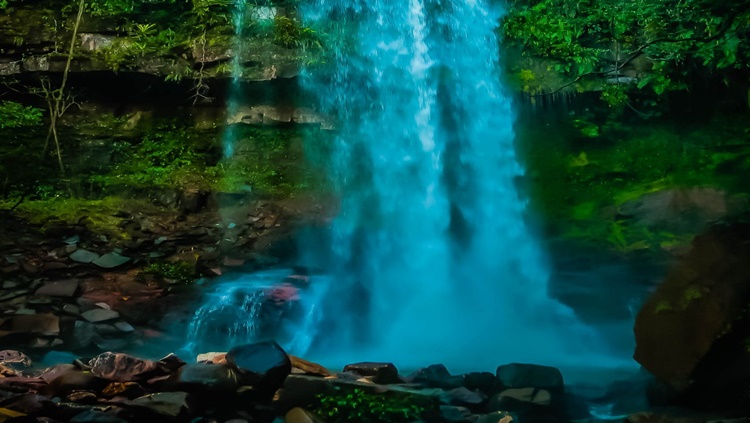 BELEZAS NATURAIS: Rondônia apresenta projetos e ações de incentivo para o setor de turismo