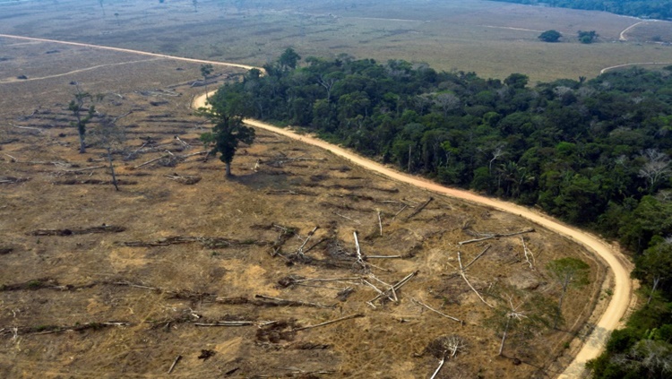 PREOCUPANTE: Relatório aponta que 94% do desmatamento na Amazônia brasileira é ilegal