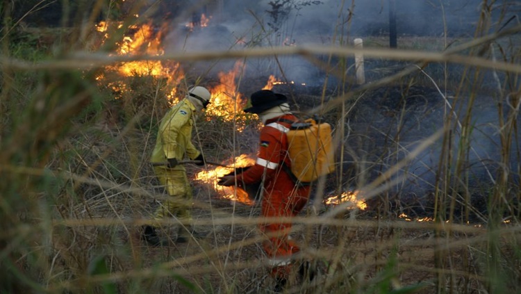 CANDIDATOS: Governo de RO vai abrir 62 vagas para bombeiros civis voluntários