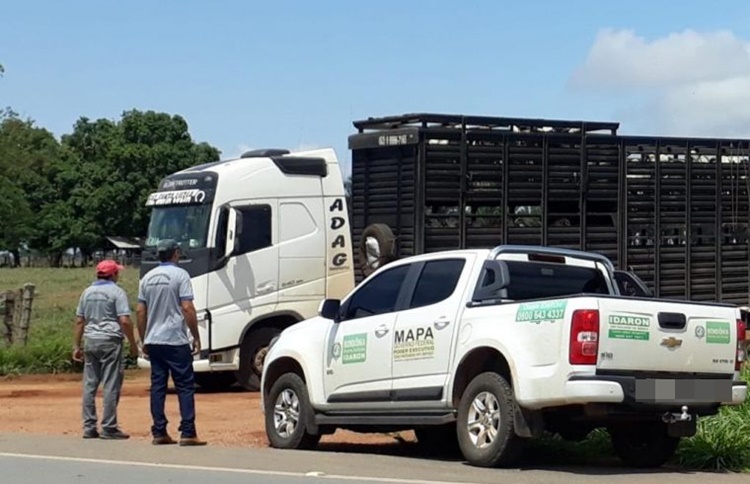 AÇÕES: Criadores de RO devem ficar atentos ao transporte de animais para outros estados