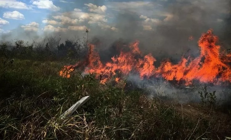 PIMENTA BUENO: Bombeiros registram três focos de incêndio em vegetação em um dia