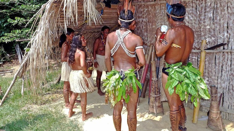 INDÍGENAS: Novo coronavírus atinge metade das aldeias dos paiter suruí em Rondônia