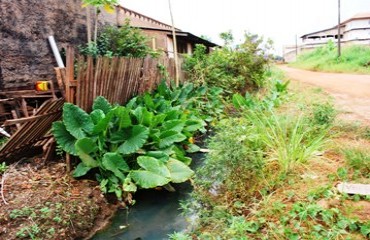 Sem iluminação e mato alto bairro da zona Leste vem passando por sérias dificuldades e prejudica comunidade - Fotos