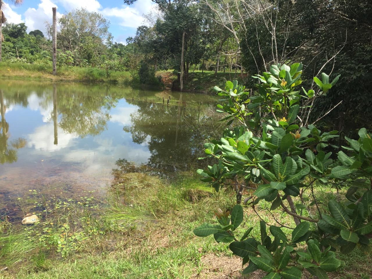 ARTIGO: Porto Velho parece ser uma cidade onde as pessoas são amorosas por natureza