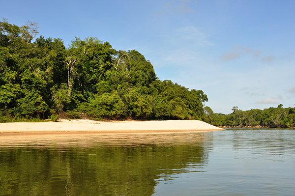 UNIDADES DE CONSERVAÇÃO: Rondônia assina Termo de Cooperação para restauração florestal