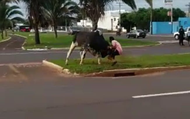 FÚRIA: Touro perfura pulmão de homem, ataca policiais e repórteres em avenida