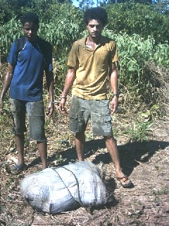 Presa dupla de homicidas que esquartejou e ocultou cadáver - Foto