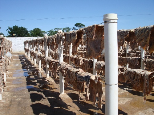 Rondônia exportará charque para Portugal e Angola 