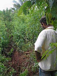 SAIU NO G1 - Crateras intrigam moradores de cidade de Rondônia