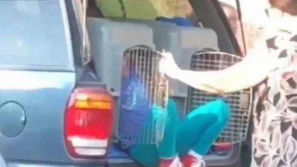 VÍDEO: Mulher é presa por transportar netos em gaiola para cães