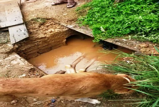 Cadáver de adolescente é encontrado em bueiro da área central