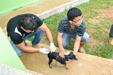 Sábado é dia de vacinação contra raiva