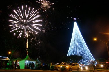 Inaugurada maior árvore de Natal do Estado