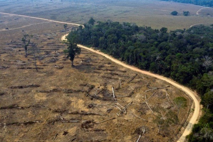 LAMENTÁVEL: Maio registra aumento de 312% no desmatamento na Amazônia