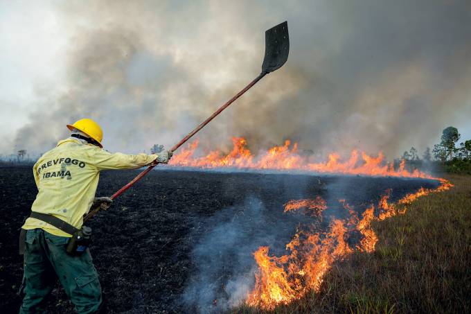 MEIO AMBIENTE:  Desmatamento na Amazônia aumenta 85,3% em 2019, aponta Inpe