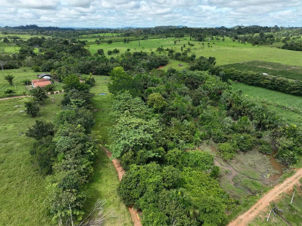 MARCO HISTÓRICO: Viveiro Cidadão recupera área igual a quase 7 mil campos de futebol em Rondônia
