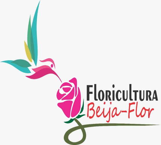 Dia da Mulher é na Floricultura Beija Flor 