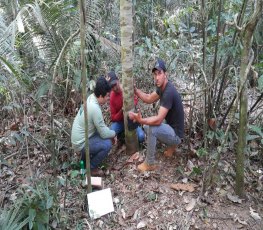 Sema capacita servidores para monitoramento da biodiversidade