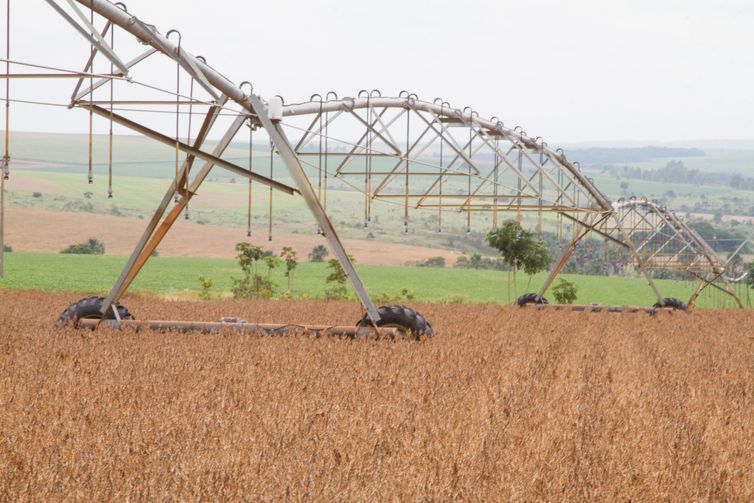 CRESCIMENTO: Produção de grãos do país na safra 2019/2020 deverá ser recorde