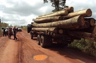 Polícia ambiental prende ‘John Lennon’ por transporte irregular de madeira