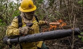 PREVENÇÃO : Tribunal mantém chamamento público da SEMA para contratar brigadistas