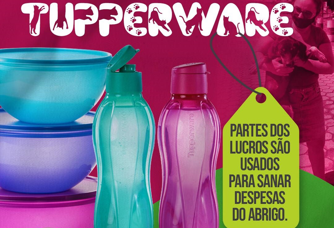 Protetora de animais vende Tupperware para ajudar a manter abrigo