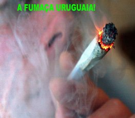 No pequeno Uruguai, já se pode comprar maconha nas farmácias