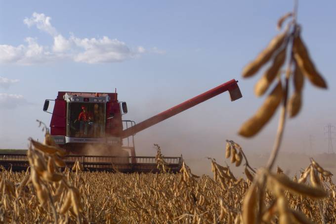 ECONOMIA: Safra agrícola de 2018 será 5,3% menor que a do ano passado, prevê IBGE