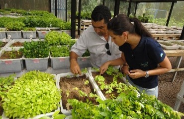 Começam estudos para recuperação de áreas no entorno da Usina Santo Antônio