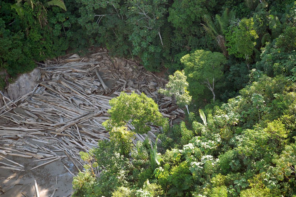 MPF aponta 2,3 mil responsáveis por desmatamento ilegal na Amazônia