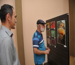 OLHAR EM FOCO - Aberta exposição de fotografias na biblioteca