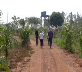 Semagric vai doar alevinos para fazenda onde apenados trabalham