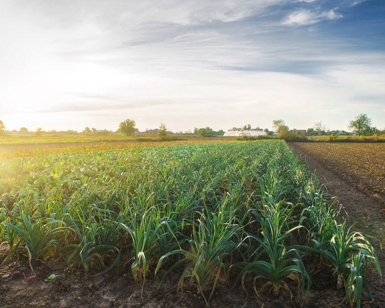 TECNOLOGIA: Plataforma ajudará na análise dos dados do Cadastro Ambiental Rural