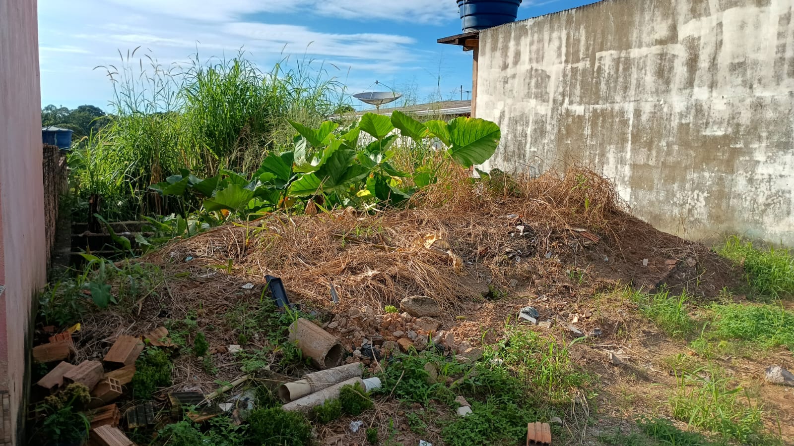 PEDIDO DE PROVIDÊNCIA: Morador do Nova Floresta pede limpeza de terreno baldio