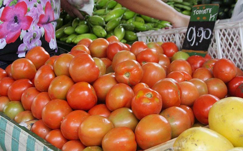 HORTALIÇAS: Boletim da Conab revela que preço do tomate volta a subir em todo o país